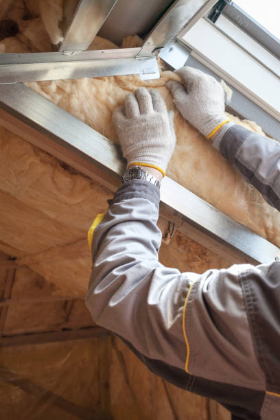 Best Cellulose Insulation in Lawndale, CA